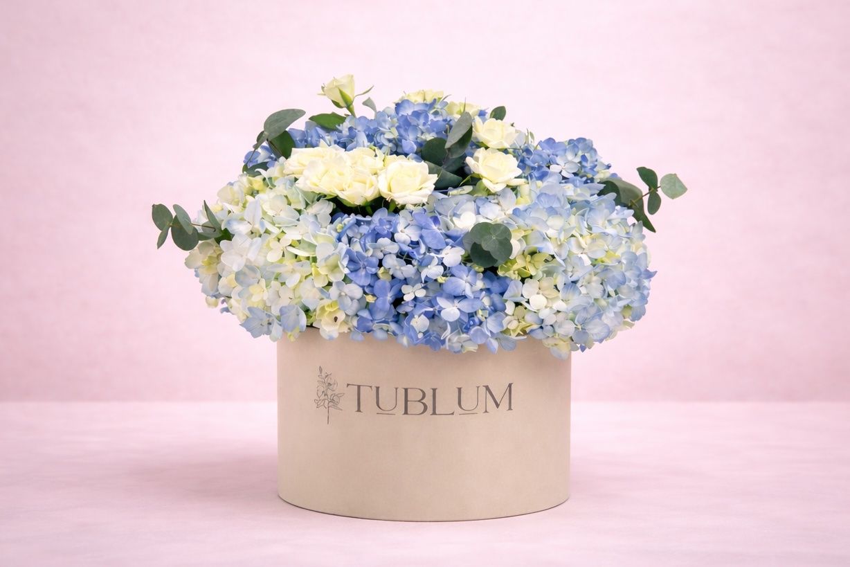 Hydrangea Frosty